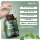 Caratteristiche delle compresse di Ginseng e Ginkgo Biloba WeightWorld